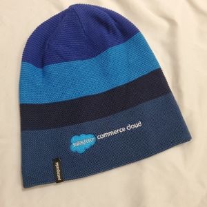 Patagonia Beanie men's women's blue multi color business logo like new one size